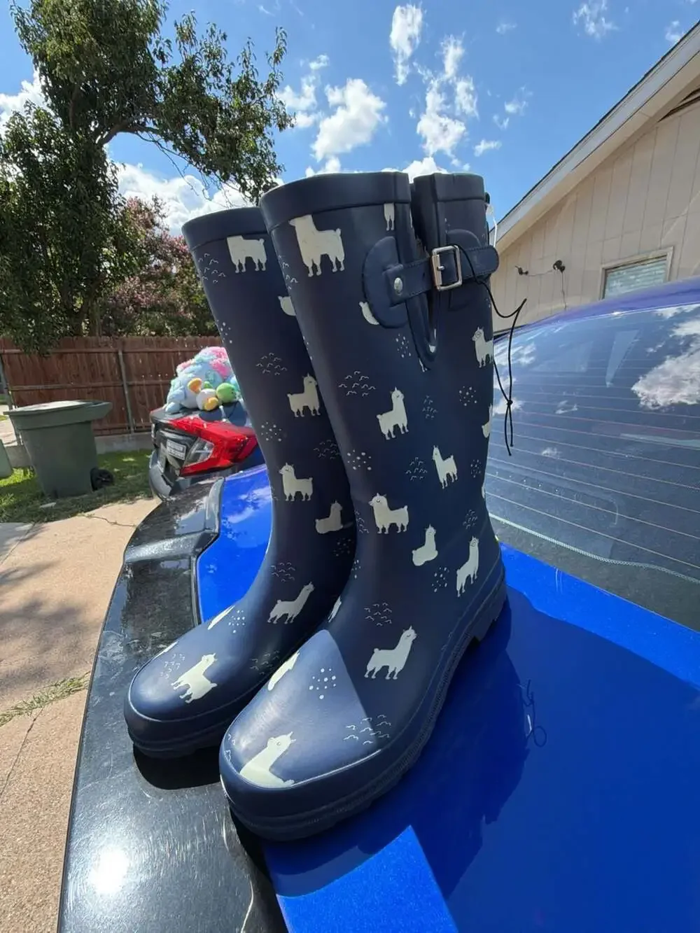 Women's Llama-Rama Tall Rain Boot - Navy – ,